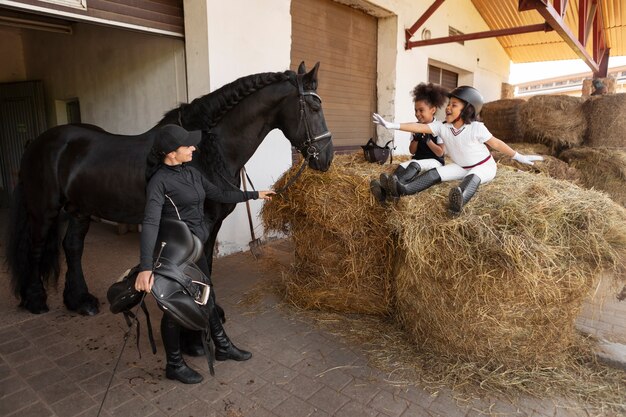 Jak Beet Pulp Pellets wspomagają zdrową dietę dla koni z nadwagą